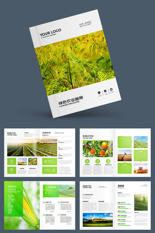 ������˻��� AI