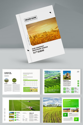 ������˻��� AI