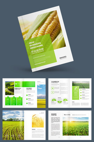 �л�ũ��Ʒ���� AI