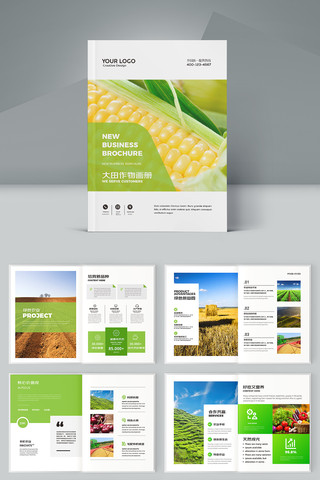 大气农业画册 大气农业画册