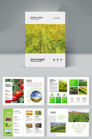 �����续�� AI