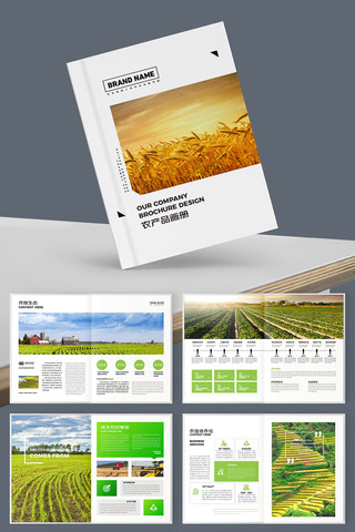 �����续�� AI