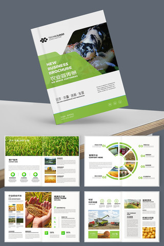 ��ɫũ��Ʒ���� AI