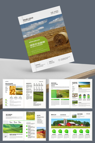 ��ɫũ��Ʒ���� AI