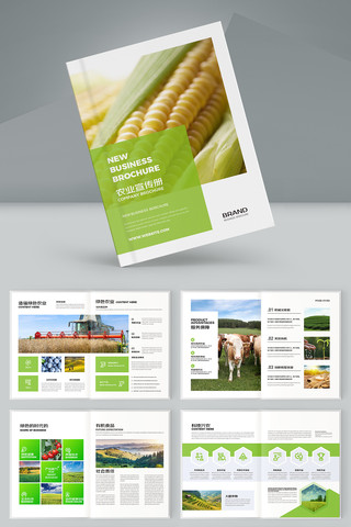 绿色农产品宣传册 绿色农产品宣传册