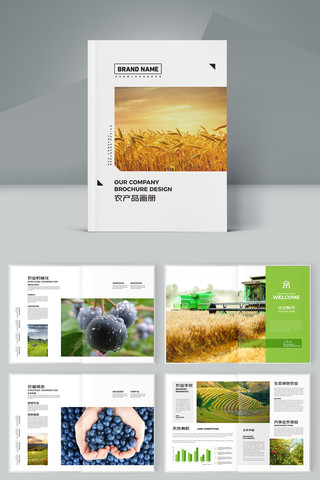 ��ɫũҵ������ AI