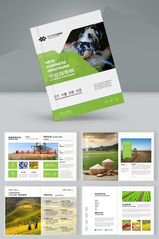 ũ��Ʒ���� AI