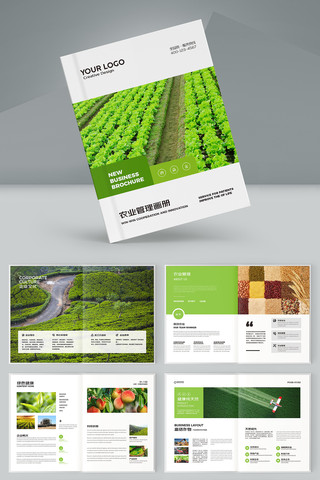 农产品画册 农产品画册