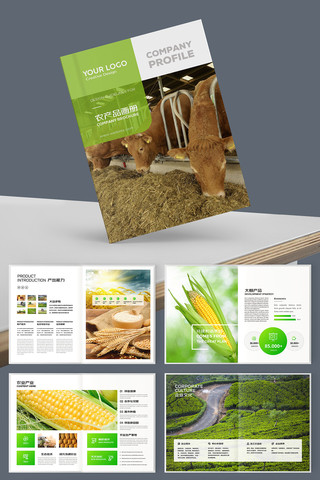 ũ��Ʒ���� AI