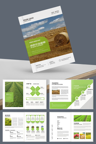 ũ��Ʒ������ AI