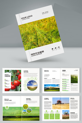 农业合作社宣传册 农业合作社宣传册