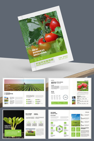 农业科技画册 农业科技画册