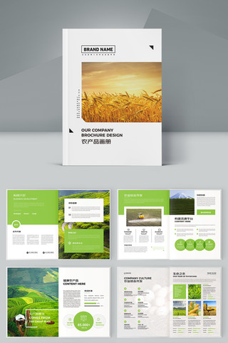 �л�ũ��Ʒ���� AI