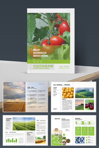 绿色农业宣传册 绿色农业宣传册