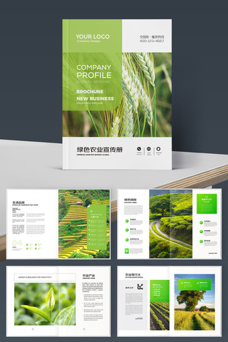 农产品宣传册 农产品宣传册