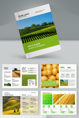 �����续�� AI