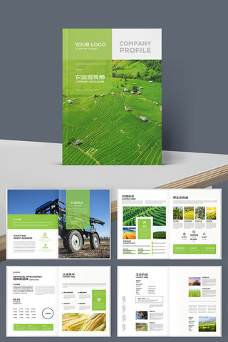 ũ��Ʒ���� AI