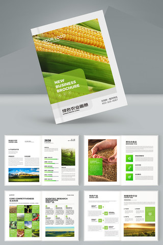 农业合作社宣传册 农业合作社宣传册