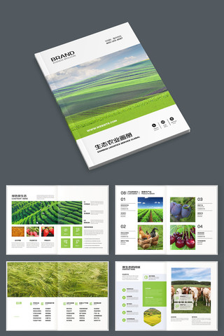 �����续�� AI