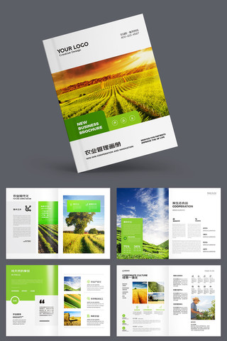 农产品宣传册 农产品宣传册