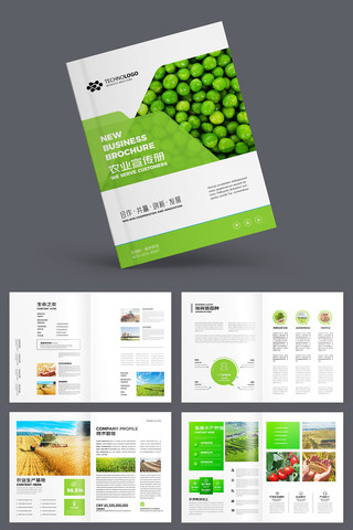 农业合作社宣传册 农业合作社宣传册