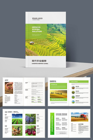 �����续�� AI