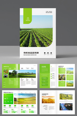 ������˻��� AI