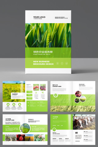 ��ɫũ��Ʒ������ AI