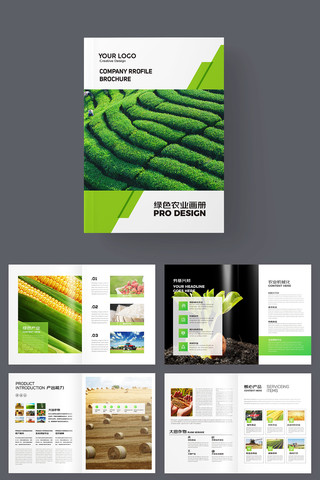 ũ��Ʒ������ AI