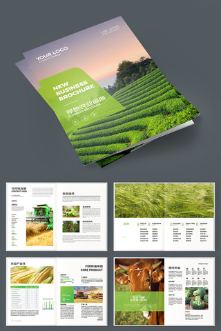 ��ɫũ��Ʒ������ AI