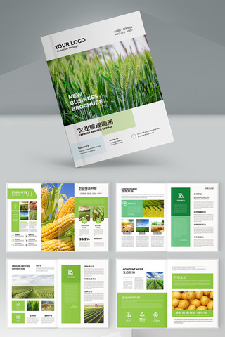 农业合作社画册 农业合作社画册