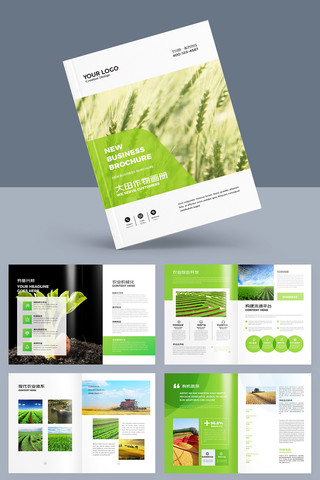 ��ɫũ��Ʒ���� AI