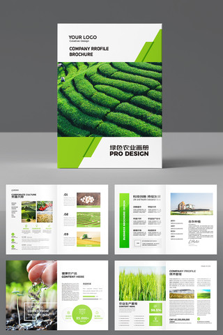 ������˻��� AI