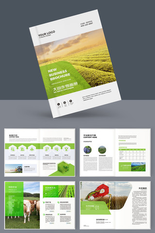 ũ��Ʒ���� AI