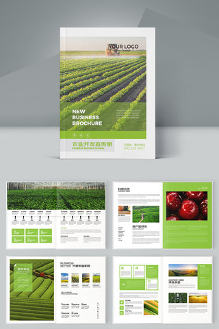 ũҵ�����续�� AI