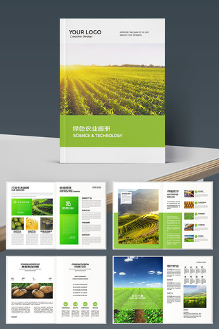 ������˻��� AI