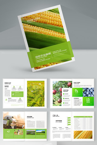 ������˻��� AI