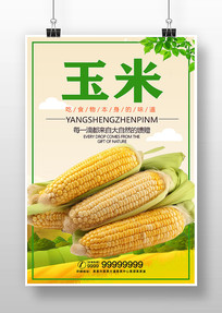 лͼƬ