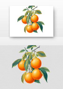 ¶ˮ