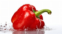 ʺĲʽ