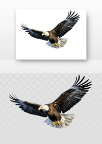 ӥƽز