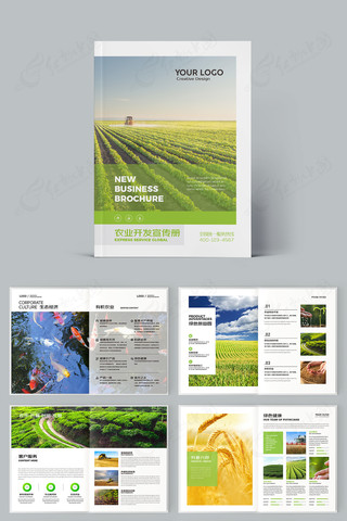 ������˻��� AI