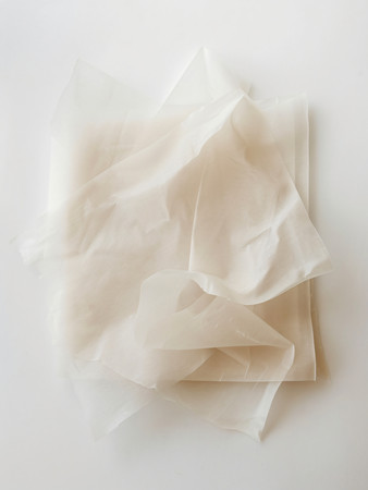 ��͸��ֽ��