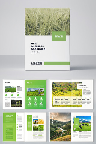 ũ��Ʒ������ AI