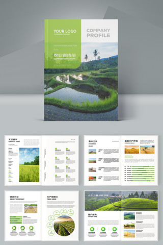 �����续�� AI