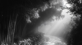 �ڰ�ɫ������