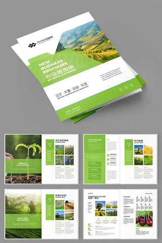 ũ��Ʒ���� AI