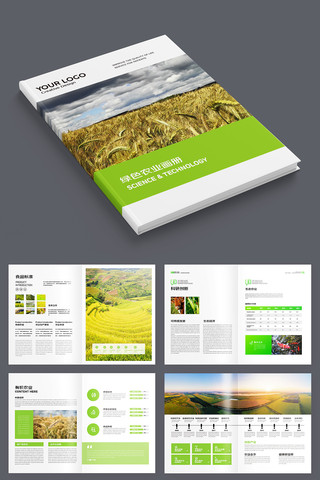 ������˻���