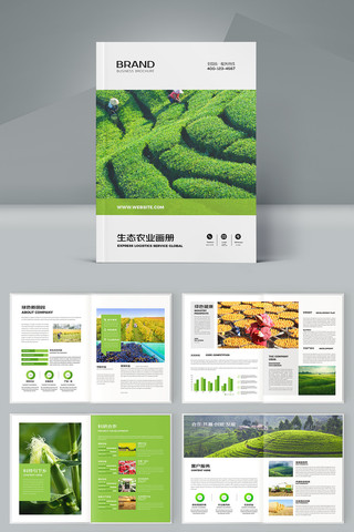 合作社画册 合作社画册