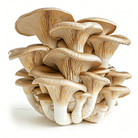 ƽ���߲�ͼƬ�ز�